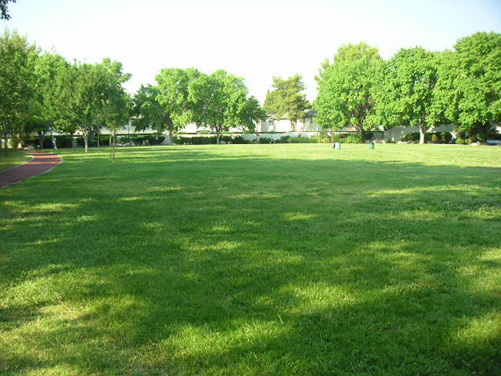 1102 | 00000001667 | parks - ranches,  grass, tree, 