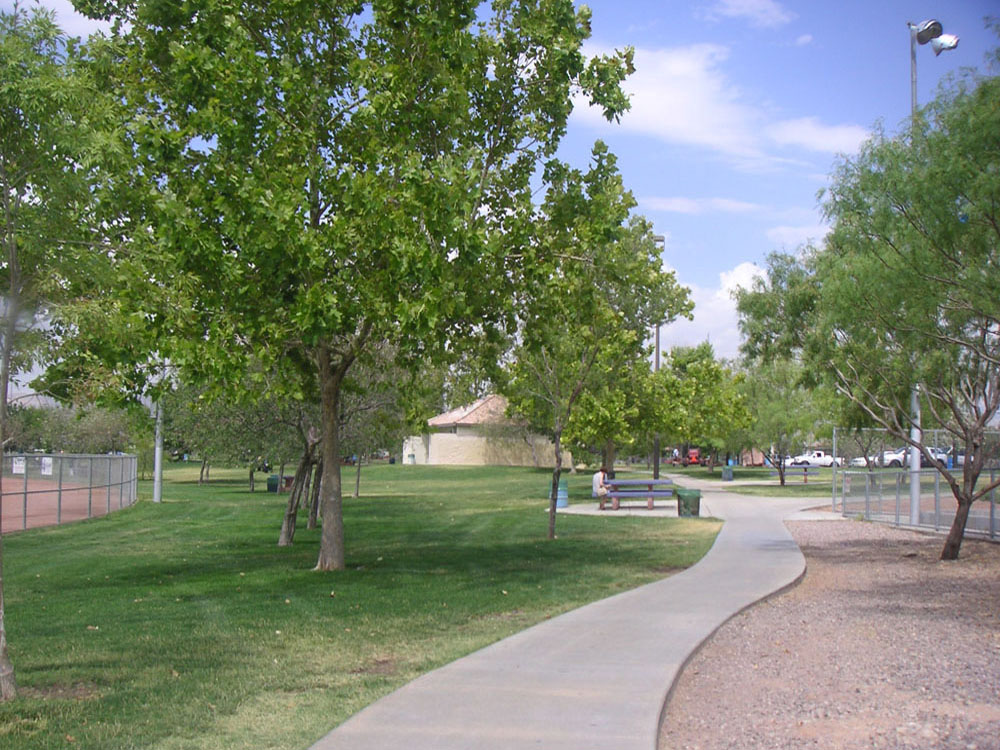 1105 | 00000001816 | parks - ranches,  tree, grass, 